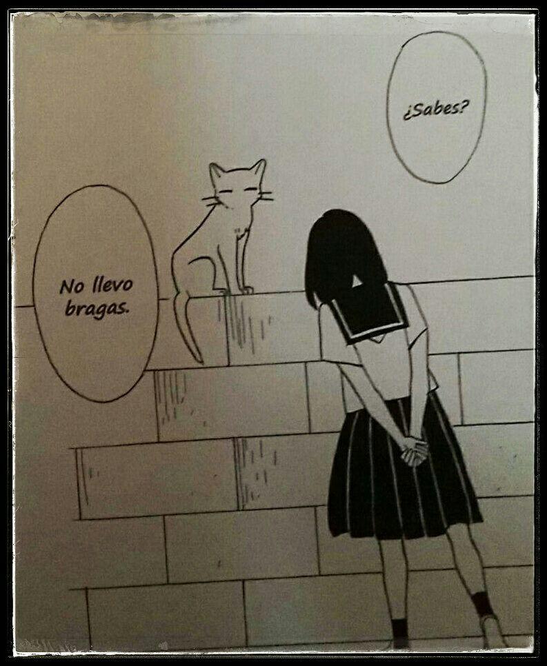 Imagen del manga "El príncipe del mar" de Kaori Ozaki. Una estudiante, en uniforme de colegiala, mira a un gato subido en una pared y le dice "¿Sabes? No llevo bragas"